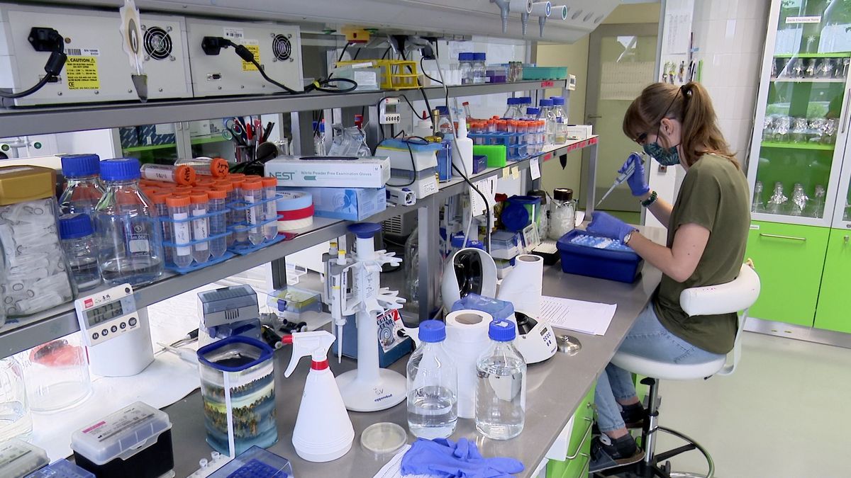 Čeští vědci vyvíjejí nový test na koronavirus